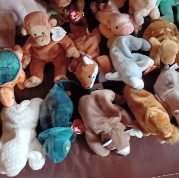 Beanie Baby Bundle - Picture 3 of 4
